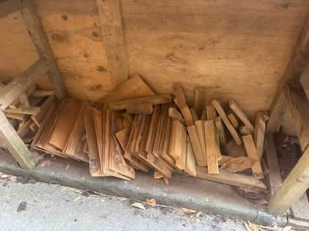 Photo of free Kindling (Farmoor OX2 9) #1
