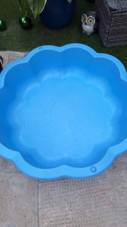 Photo of free Poll.for.kids or.dogs (Belfast BT6) #1
