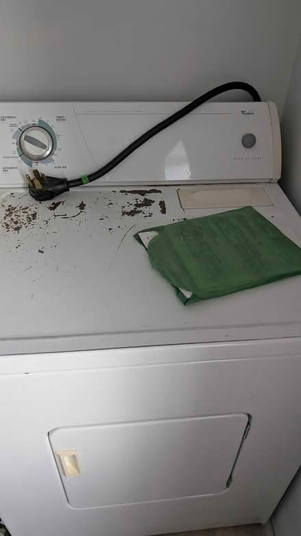 Photo of free Dryer (older) (Spotsylvania) #1