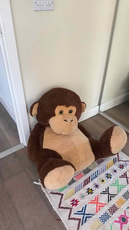 Photo of free Big monkey stuffed toy (E28FS) #2