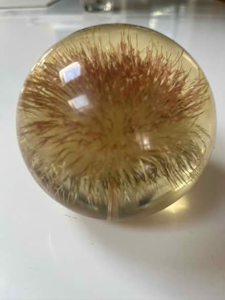 Photo of free Paper weight (Aldwick) #1