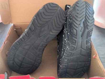 Photo of free Puma shoes (Cicero IL) #2
