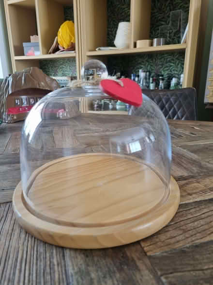 Photo of free Small cheese dome (Enfield EN1) #2