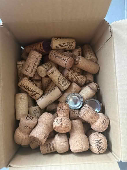 Photo of free Box of 60 wine corks (Union Street, Borough SE1) #1
