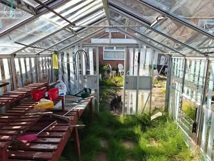 Photo of free Metal frame walk in greenhouse (Great Sutton CH66) #1