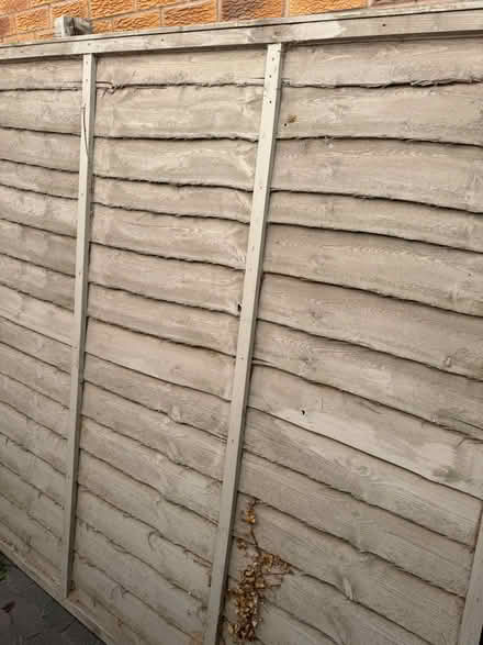 Photo of free 5 fence panels (Sileby LE12) #3