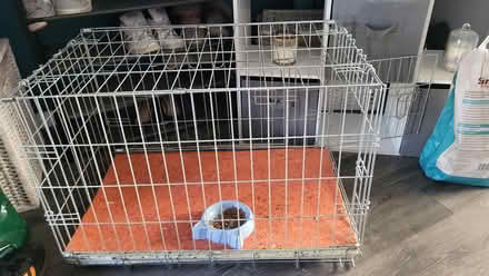 Photo of free Dog cage (Ilkeston) #1