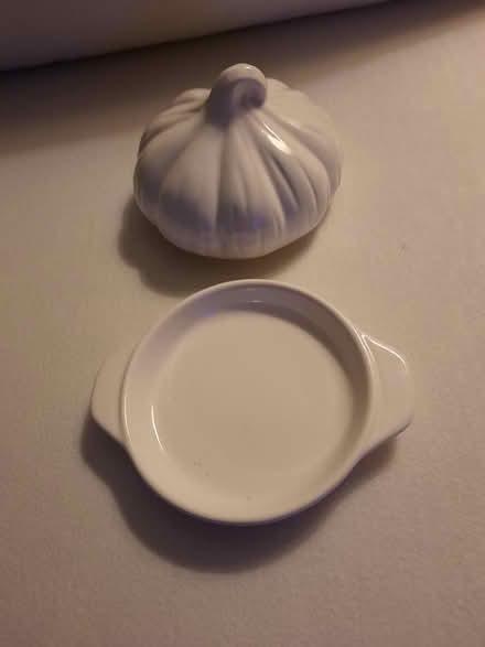 Photo of free White Garlic Dish (Hunt Club / McCarthy Rd.) #1