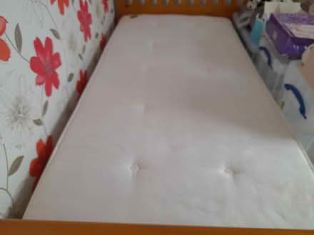 Photo of free 3' Single child's mattress (Acle NR13) #1