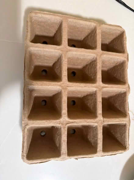 Photo of free 2 trays of 12 seed starters (East Palo Alto CA) #1