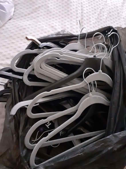 Photo of free Coat hangers (Chatham ME4) #1