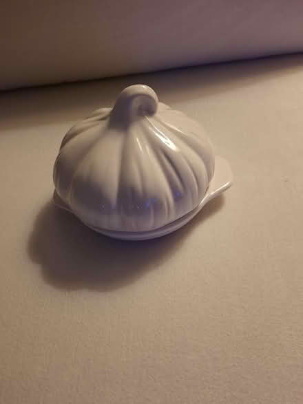 Photo of free White Garlic Dish (Hunt Club / McCarthy Rd.) #2