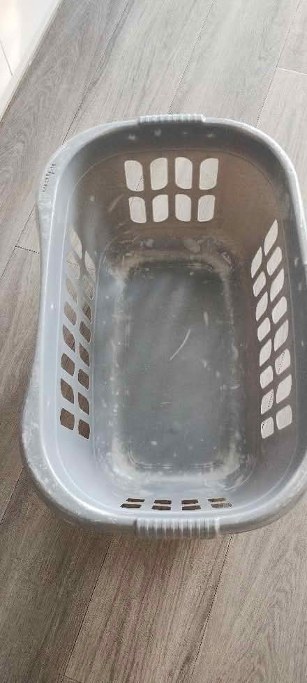Photo of free Laundry Basket (Arleston DE24) #1