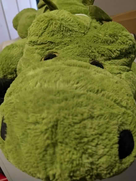 Photo of free Crocodile 🐊 (Felling NE10) #1