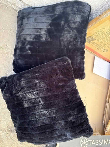 Photo of free 2 black pillows (Gosport PO12) #1