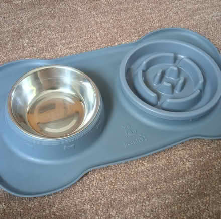 Photo of free Slow dog bowl set with silicon mat (Oxhey, WD19) #3
