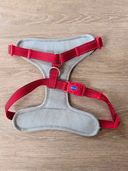 Photo of free Dog Harness (Chippenham SN14) #2