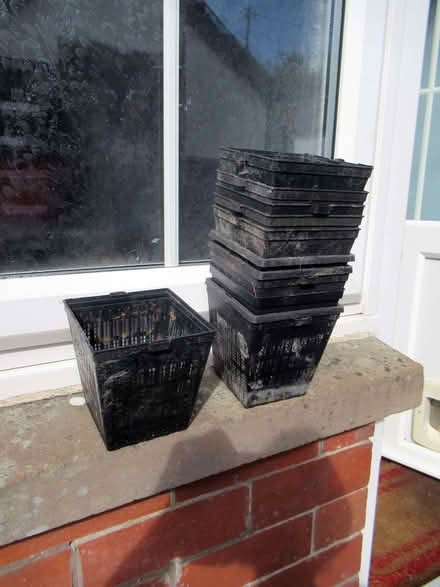 Photo of free Pond plant pots (Llandrindod LD1) #1