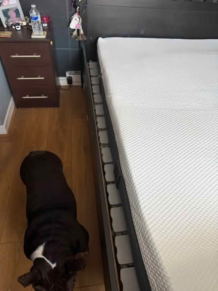 Photo of free Emma mattress (Enfield EN3) #3