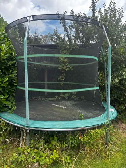 Photo of free Trampoline (Higher Walton PR5) #1