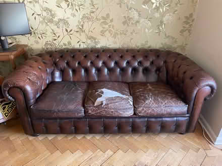 Photo of free Chesterfield Sofa, rustic (Swanley BR8) #2