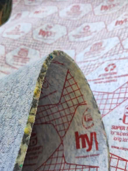 Photo of free Underlay offcuts (Nutley TN22) #2