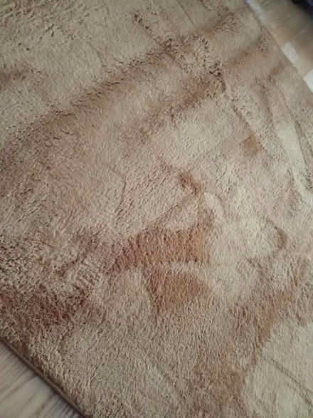 Photo of free Rug (Willesborough) #1