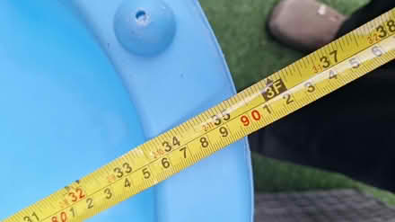 Photo of free Poll.for.kids or.dogs (Belfast BT6) #3