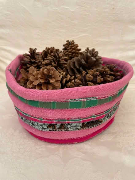 Photo of free Conifer cones (University of Bath BA2) #1