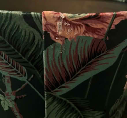 Photo of free Lampshade (N10 3SH) #3