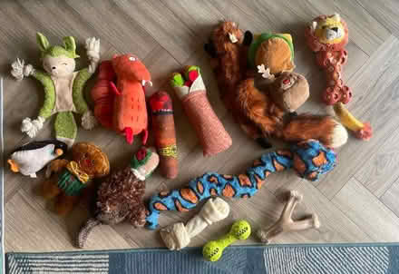 Photo of free Used dog toy bundle (Bakersfield NG3) #1