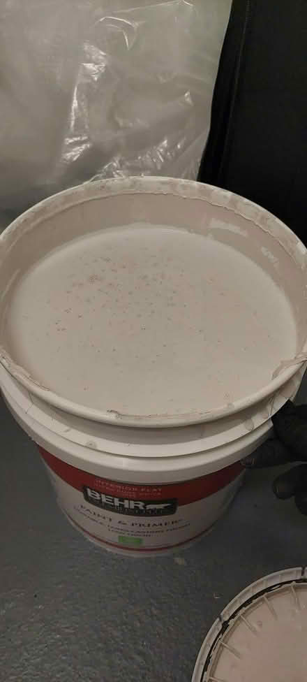 Photo of free Large paint and primer container (Upper East Side) #2