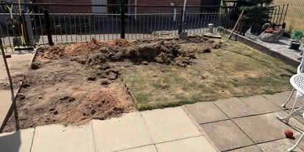 Photo of free Top soil (Oxton NG25) #2
