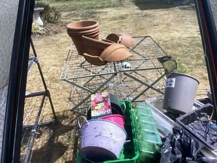 Photo of free Contents of greenhouse (Wombourne) #3