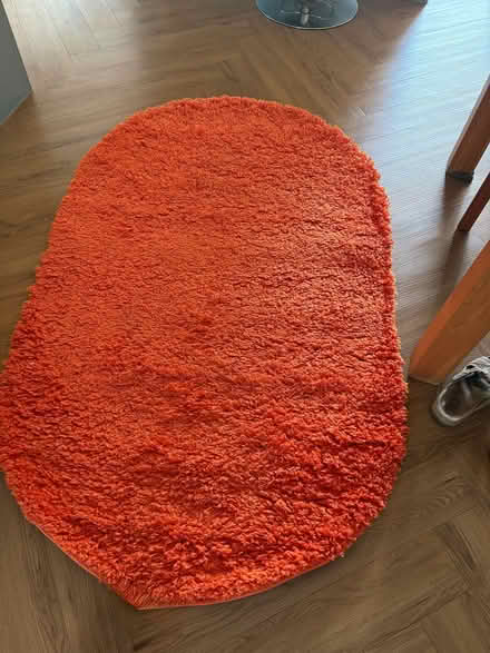 Photo of free Orange rug (Roffey RH12) #3
