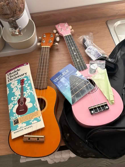 Photo of free Ukulele (Gosport PO12) #1