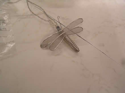 Photo of free Set of 20 Dragonfly fairy lights (West Moors BH22) #4