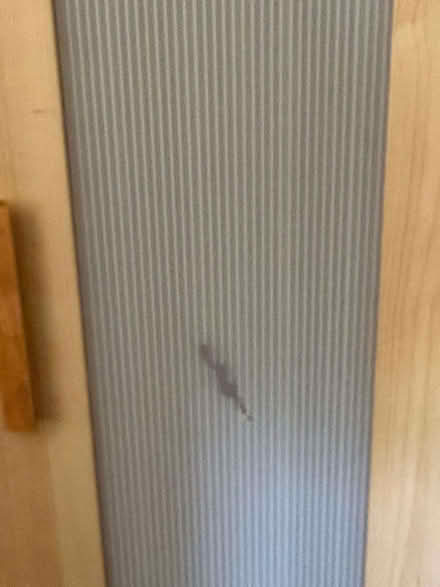 Photo of free Wardrobe (Trumpsgreen GU25) #2