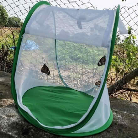 Photo of Caterpillar enclosure (Union City) #2