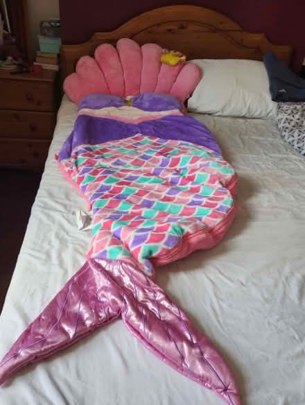 Photo of free Kid's Mermaid sleeping bag (Brockley SE4) #1