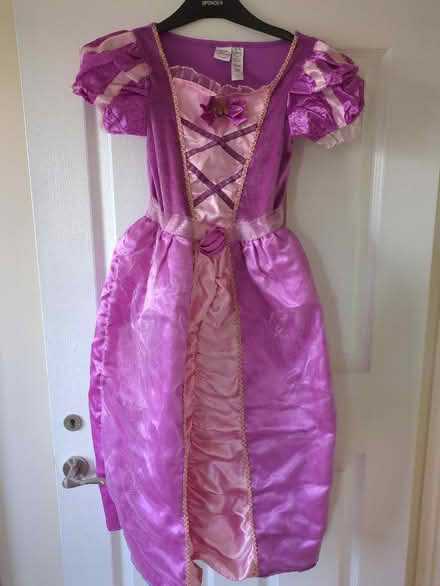 Photo of free Rapunzel fancy dress (New Marston OX3) #1