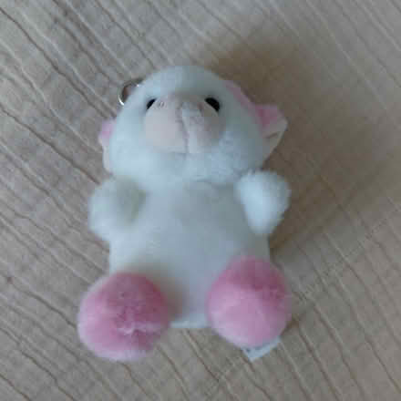 Photo of free Cow keychain (Union City) #1