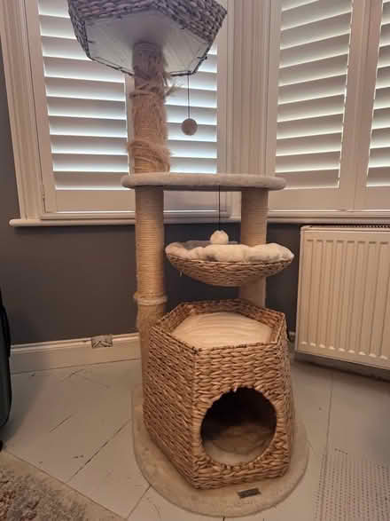 Photo of free Cream, tall cat tree (London Rd Station area BN1) #4