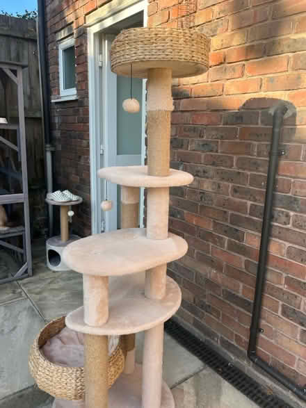 Photo of free Cat tree 165cm tall (Sw11) #2