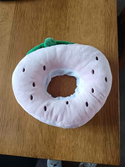 Photo of free Kitten donut collar (Toddington LU5) #1