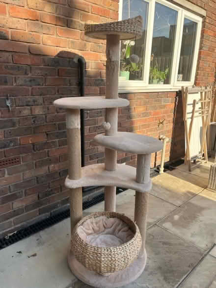 Photo of free Cat tree 165cm tall (Sw11) #1