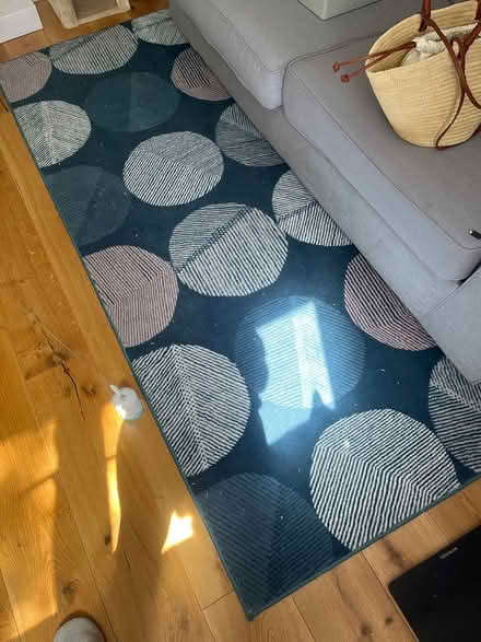 Photo of free Large area rug (SW9) #2