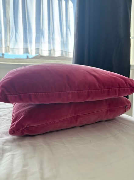 Photo of free x2 small cushions (Bs15 4ub) #3