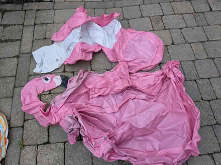 Photo of free pool stuff (Old Ottawa south) #2