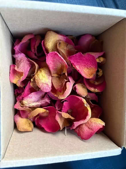 Photo of free Dried Rose Petals, Pink and Yellow (Union Street, Borough SE1) #1